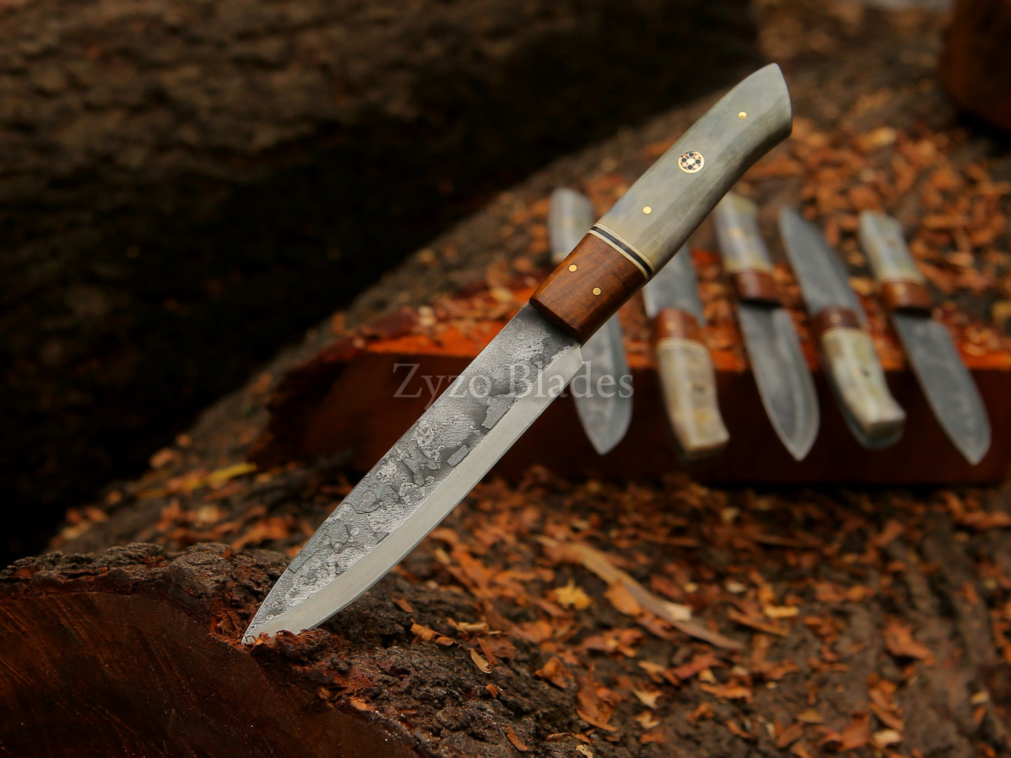 6-piece-high-carbon-steak-knife-set-zyzo-blades