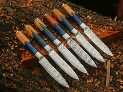 6 Pcs Damascus Steel Steak Knife Set Fully Handcrafted Round Handle