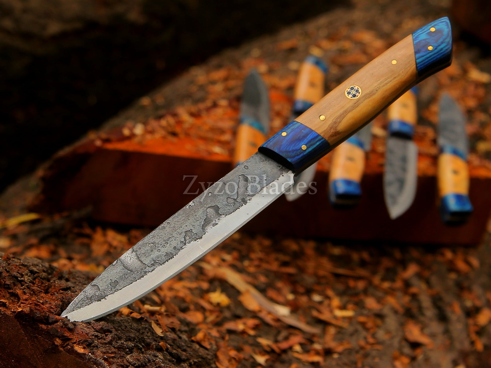 handmade-high-carbon-steel-steak-knife-zyzo-blades