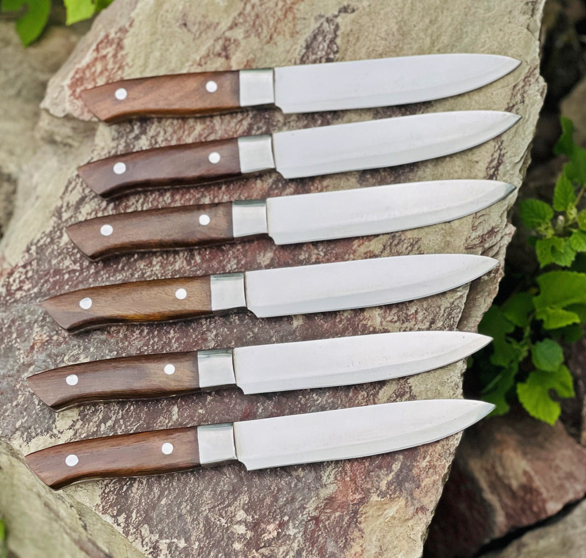 Mirror Finish Blades 6 Pcs Steak Knives Set Custom Handmade Personalized With Wood Handle