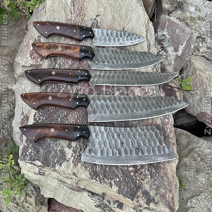 Personalized Kitchen Chef Knives Set 5 Pcs Damascus Steel Blades  - Rosewood & Resin Handle