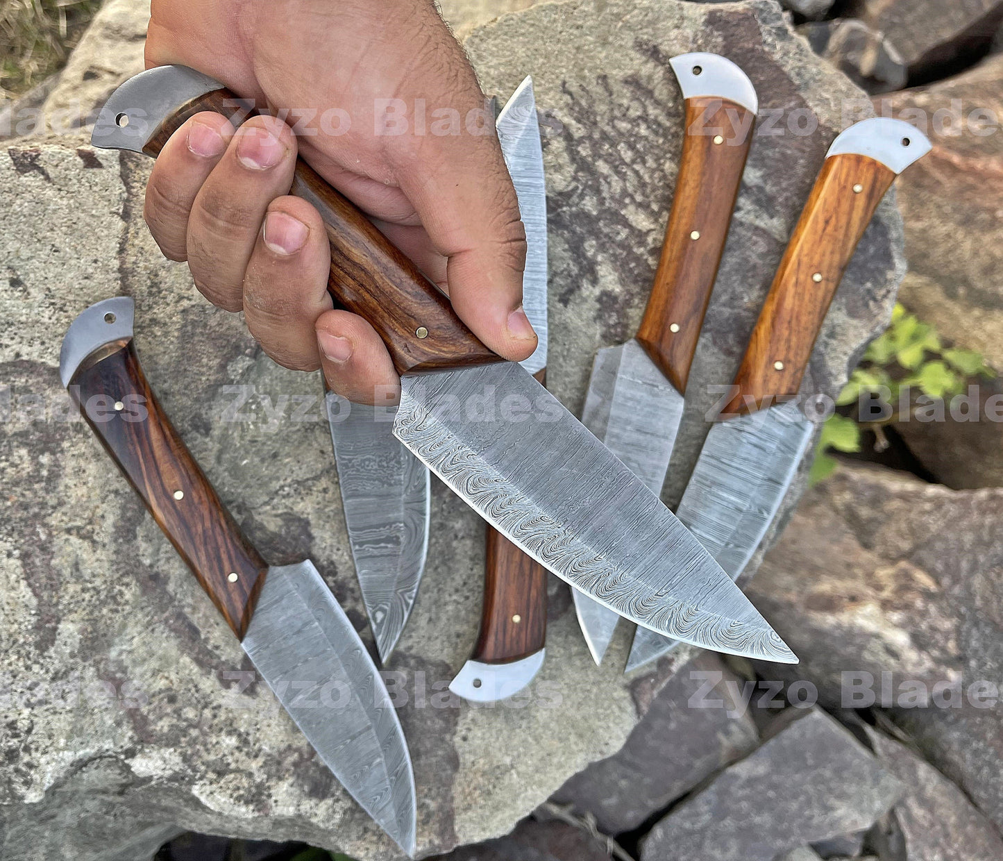 6-pcs-set-damascus-steel-steak-knife-zyzo-blades