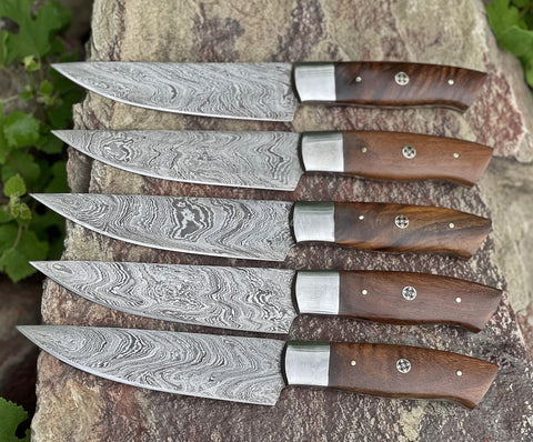 Custom Handmade Damascus Steak Knife Set 5 Pcs ZYZO Blades