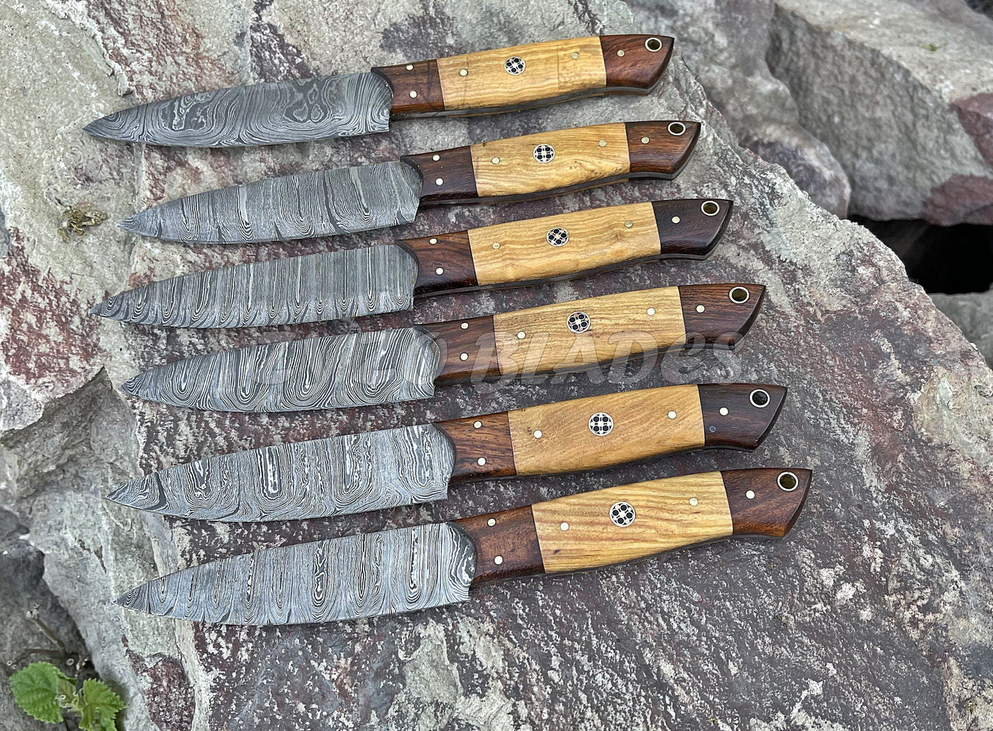 Steaks Knives set