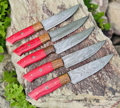 Custom Handmade 5 Pcs Steak Knives Set