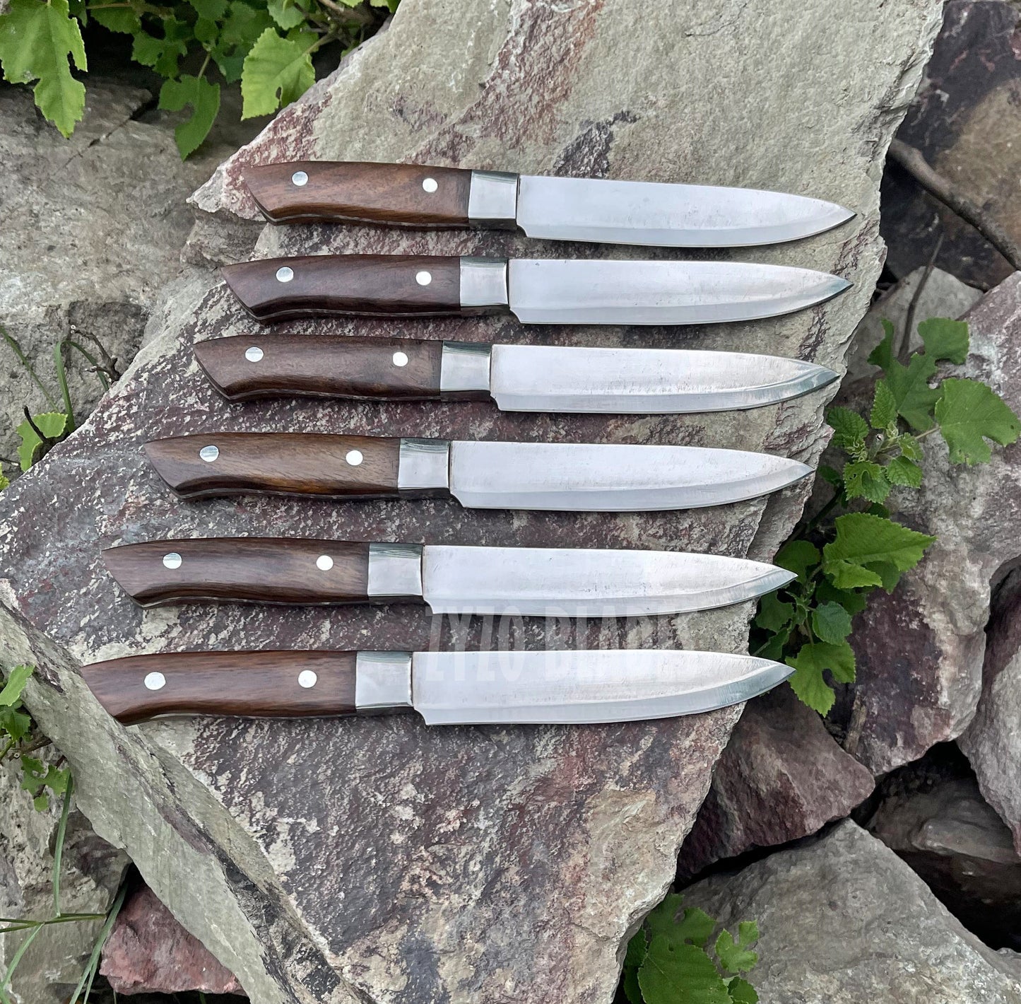 Mirror Finish - 6 Pcs Steak Knives