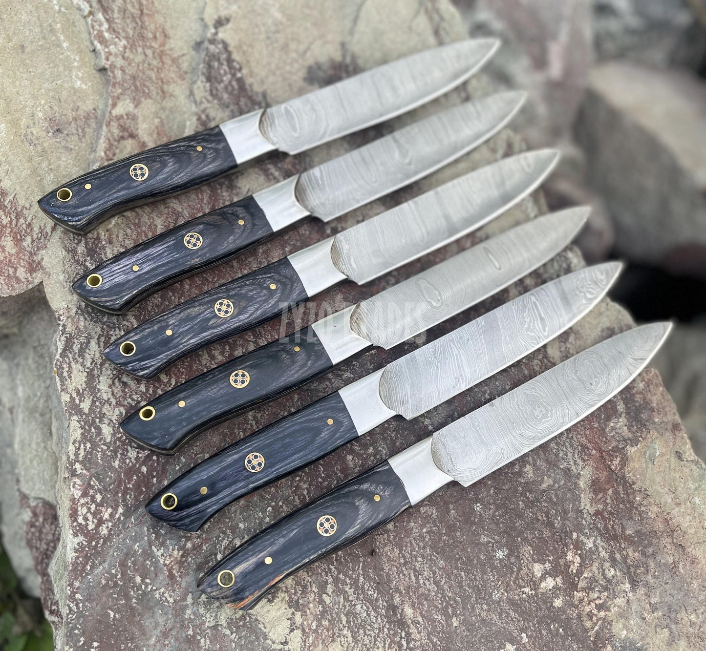 6 Pcs Steak Knives Set