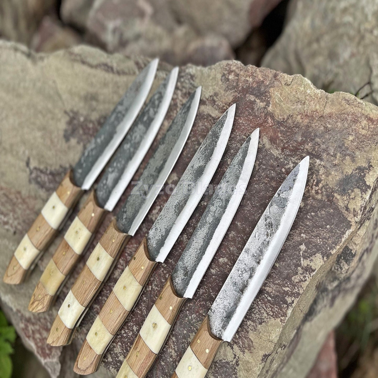 6 Pcs Steak Knives set