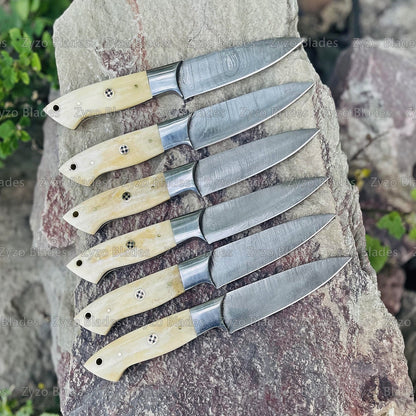 Steak Knife Set 6 Pcs