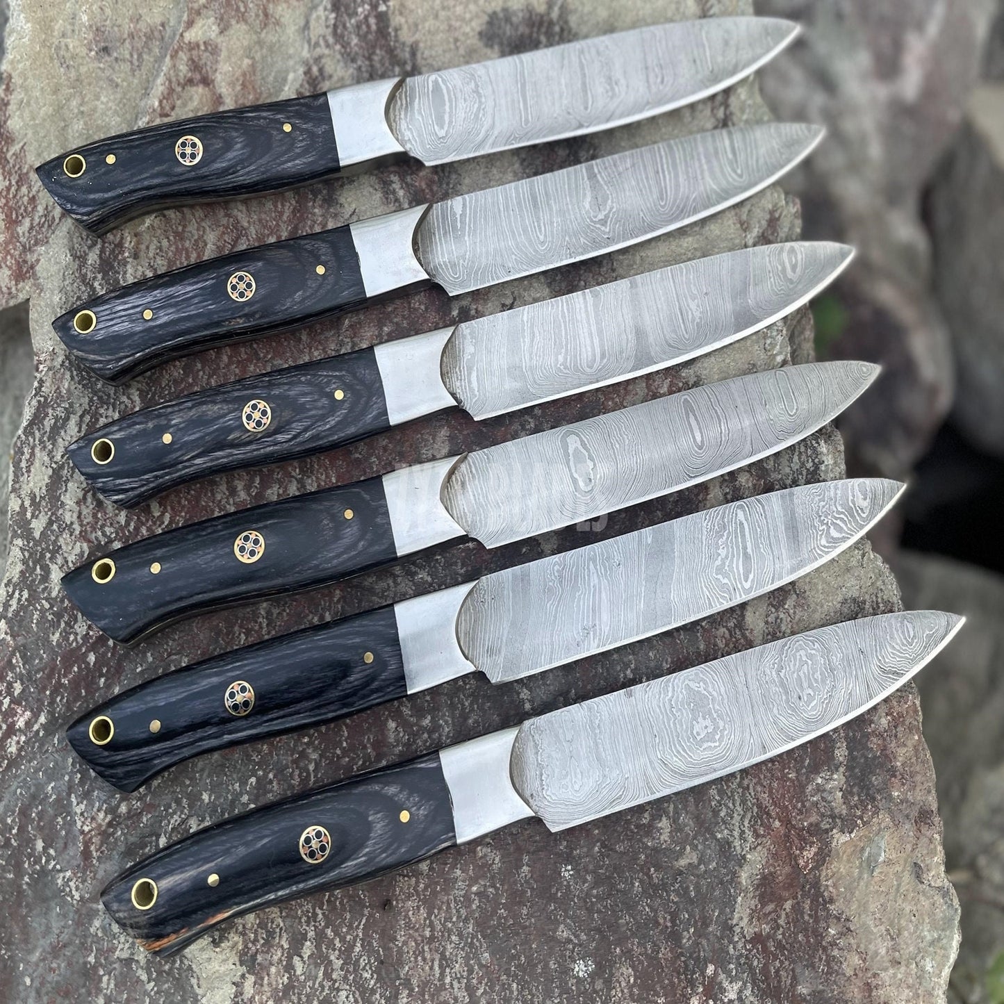 6 Pcs Steak Knives Set